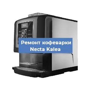 Замена прокладок на кофемашине Necta Kalea в Челябинске